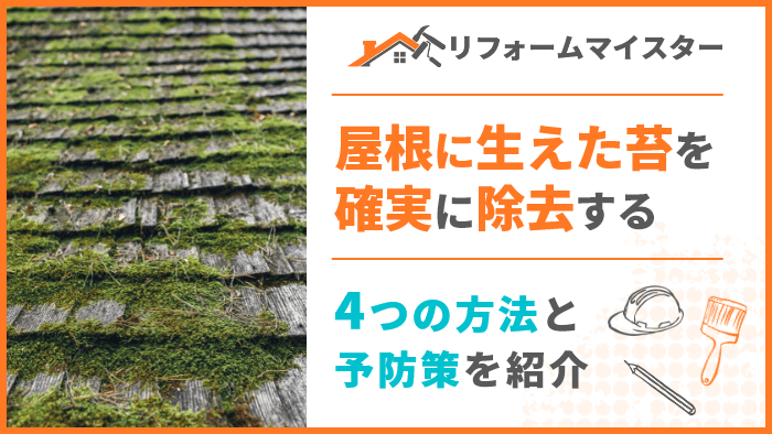 屋根に生えた苔を確実に除去する方法と4つの予防策を紹介 リフォームマイスター